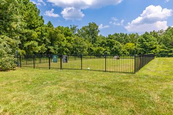 a yard with a fence and trees in the background